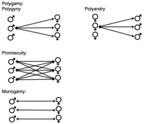 mating|Mating system